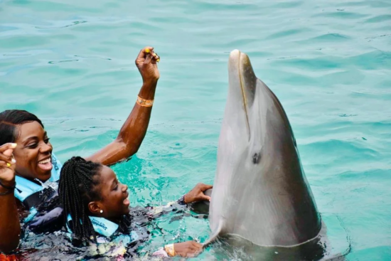 Dolphin-cove-3